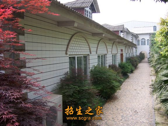 计算机等级证