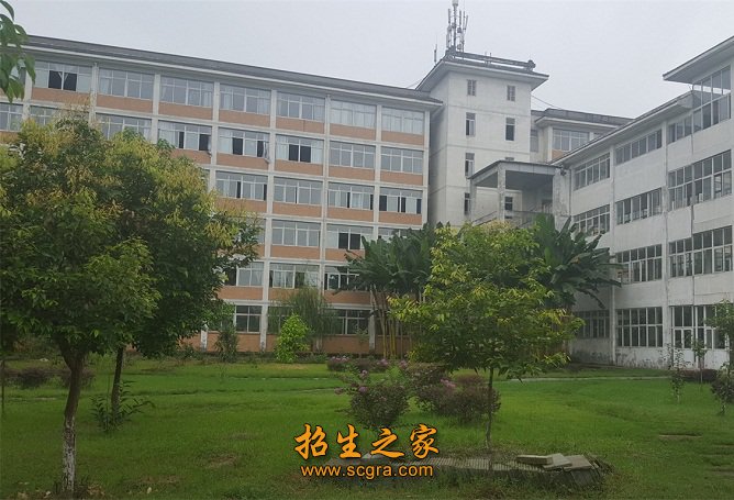 "分段式澳门永利平台app优惠活动教