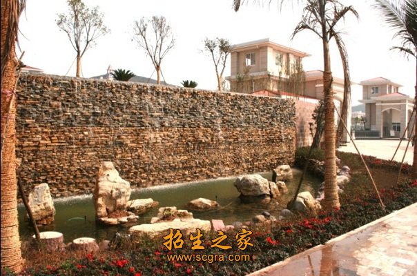 以促进就业为导向