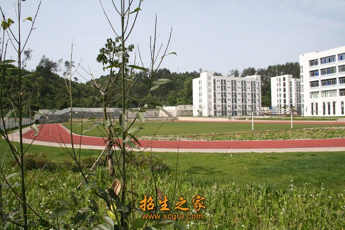 培养了大批的技能型人才