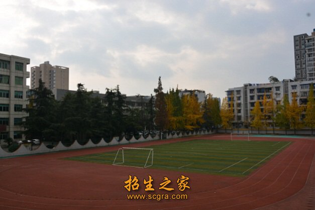 乐山市医药科技澳门永利平台福利入口(成