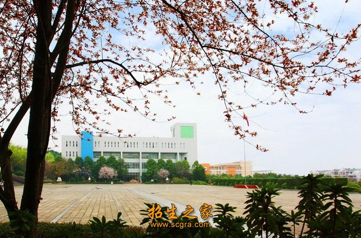 卫生管理