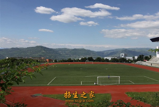 中医骨伤