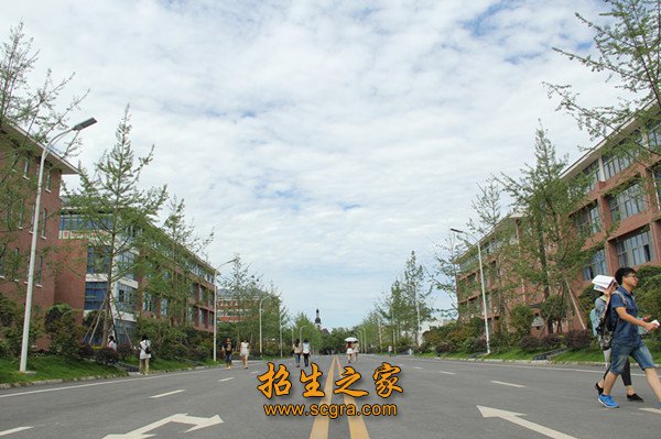 不断加强专业课程建设