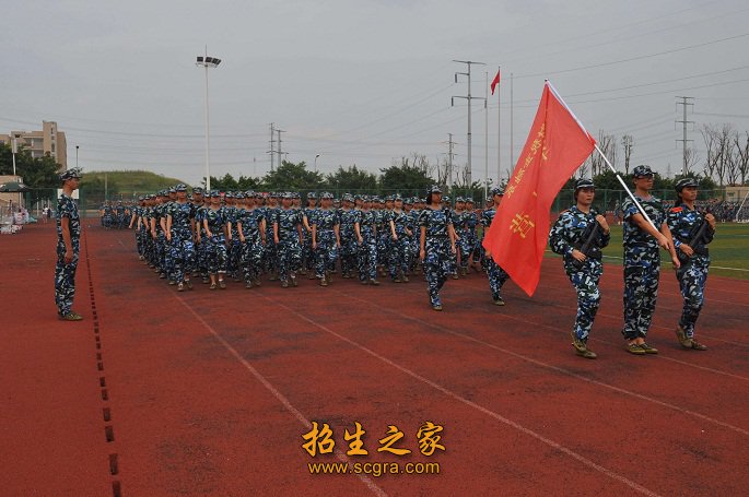 具有高级职称教师占23%