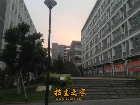 走产学研结合的发展道路