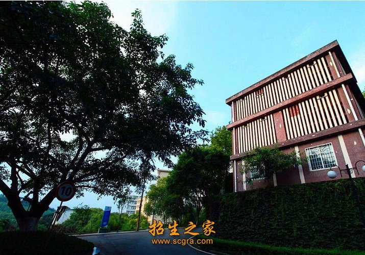 热情洋溢的表示