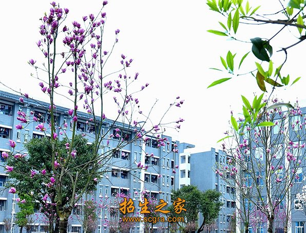 对接澳门永利平台官网正规渠道“一带一