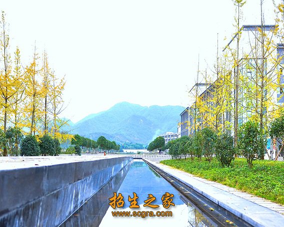 长江经济带建设和重庆五大功能区域发展