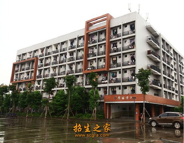 双师素质教师155人