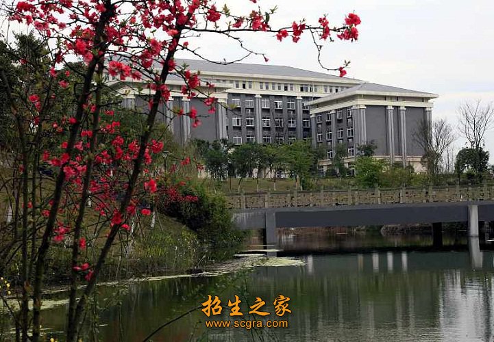被民政部授予“全国先进社会组织”荣誉