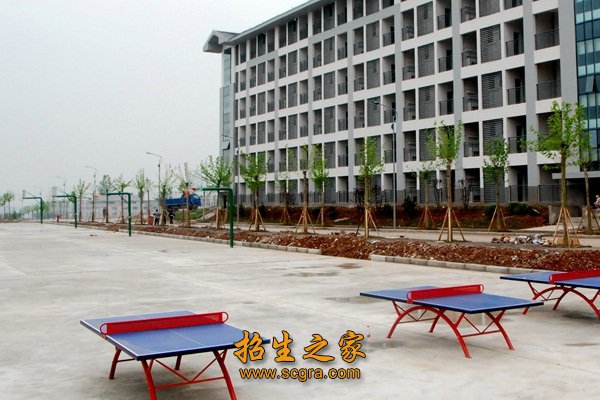 机械与自动化工程系