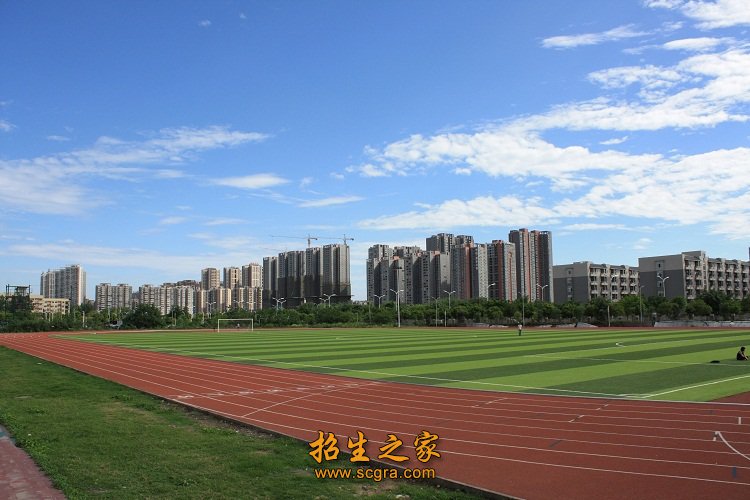 信息工程系