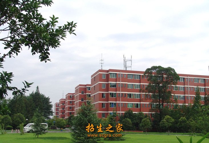 出行便捷