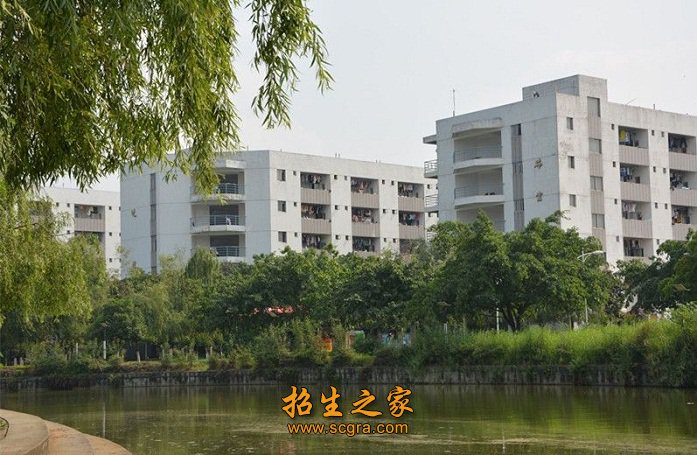 构建了轻化工