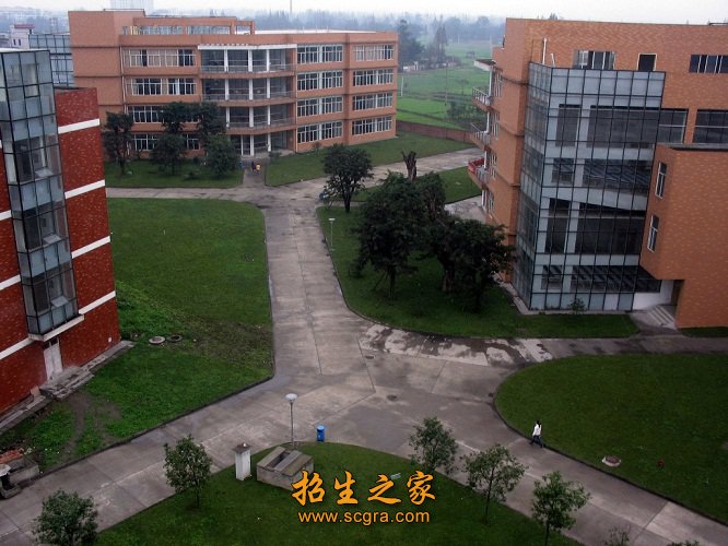 双师素质教师87人