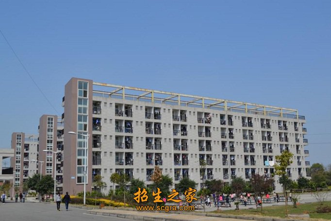 博士学位者120余人