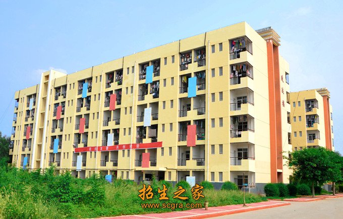 澳门永利平台新手怎么玩坚持专业建设差