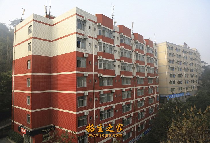 拥有专业带头人24人