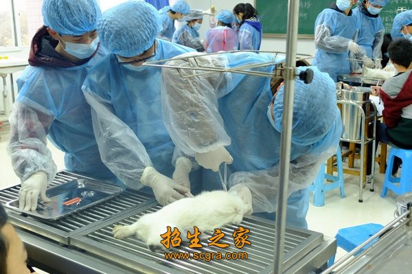环境幽雅