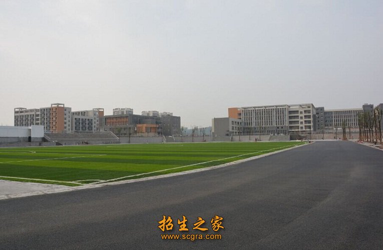 4项澳门永利平台成为纽卡斯尔联全球官