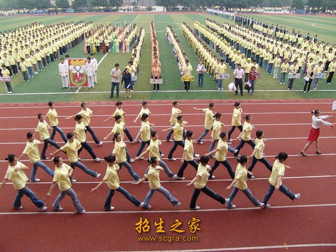 同类内容同栏目条目通常按时间倒序排列