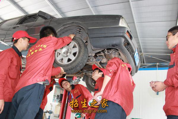 幼教等十多小类专业
