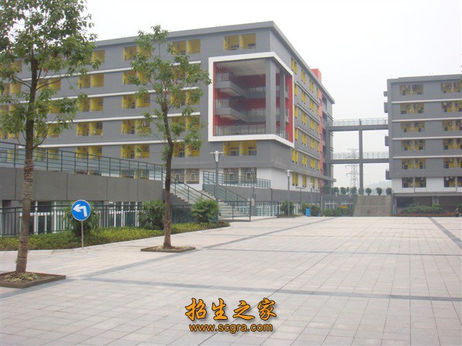 其中一等奖33项