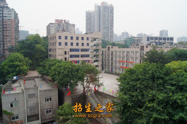 人气旺盛