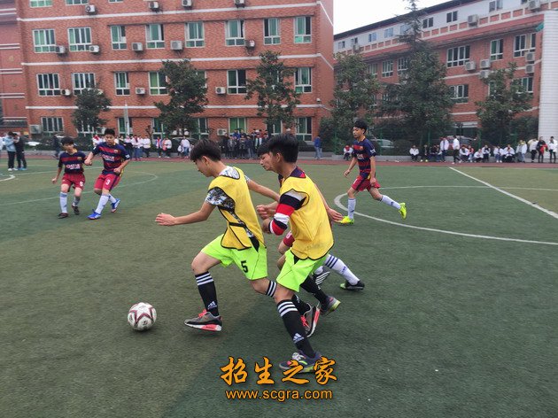 成为重庆市职业澳门永利注册手机版登录