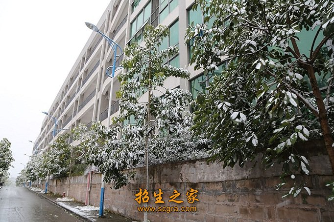 澳门永利注册官网操作说明综合素质大幅