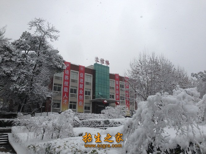 全国优秀澳门永利平台官网正规渠道工作