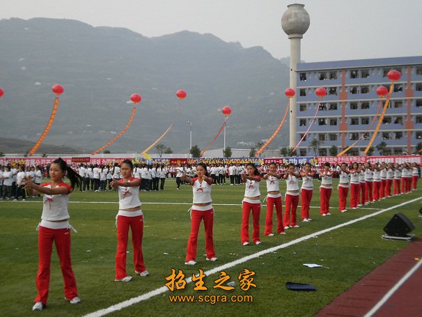 先后与74家企业建立了合作关系