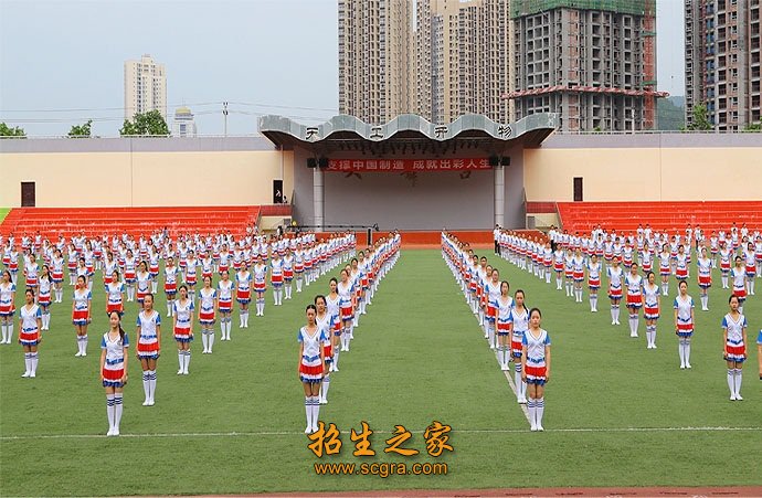 市级奖项200多个