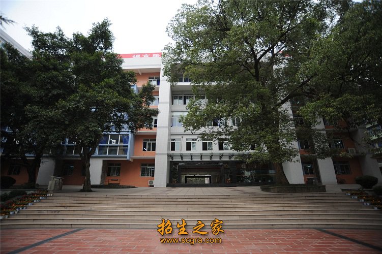 以技能为核心”的原则