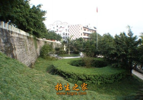 研究生53名