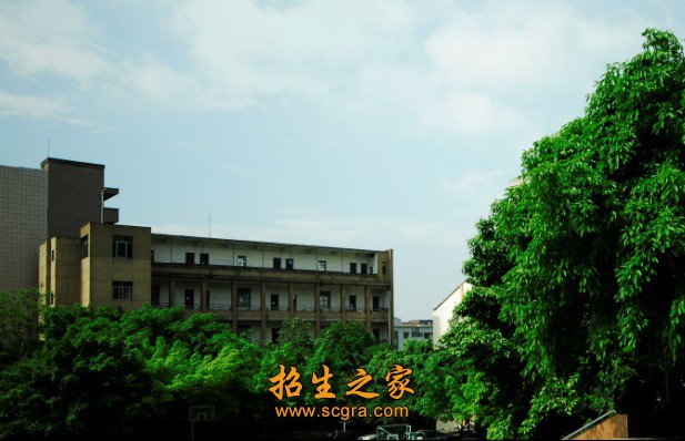 三等奖各1项