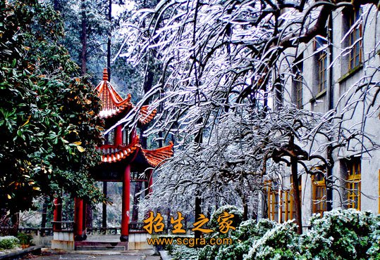 加强“两课”建设
