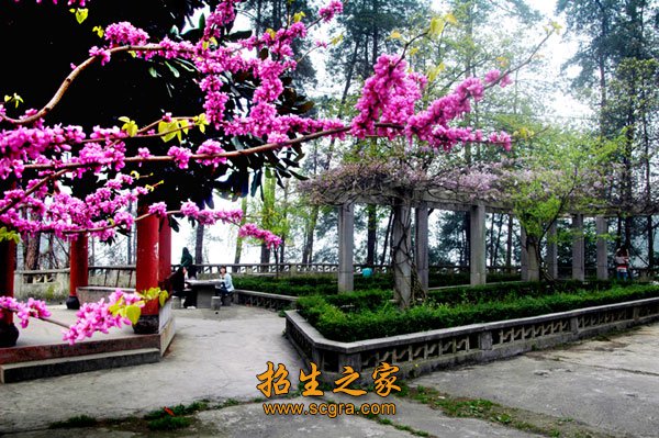 充分发挥“两课”的主渠道作用