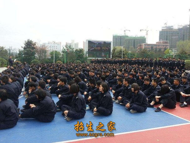 3.左右眼单眼裸视力应在4.8(0.