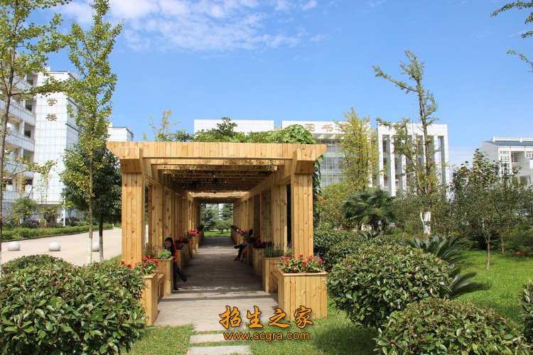 在其他医学类澳门永利平台官网使用方法