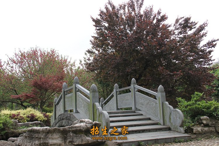 以就业为导向