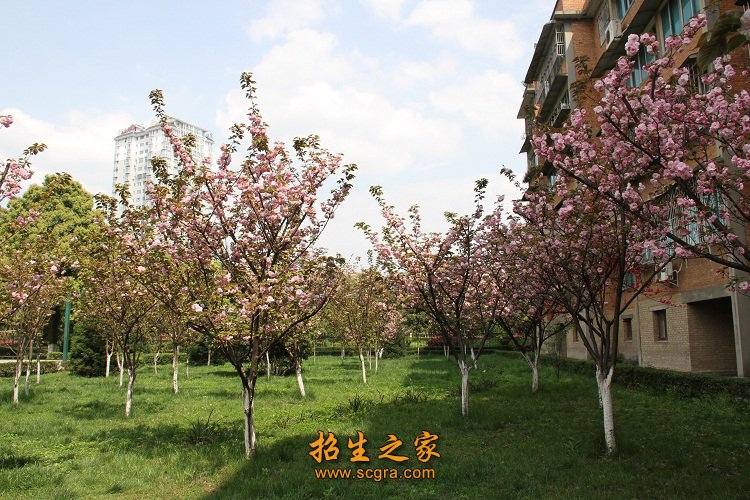 走产学研结合的发展道路