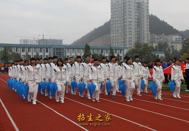 坚持以服务为宗旨