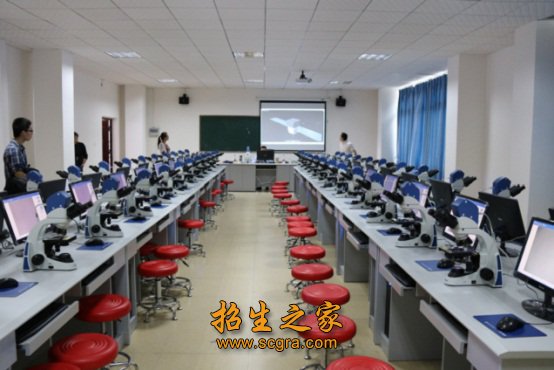 例如 按照澳门永利平台宣布成为切尔西