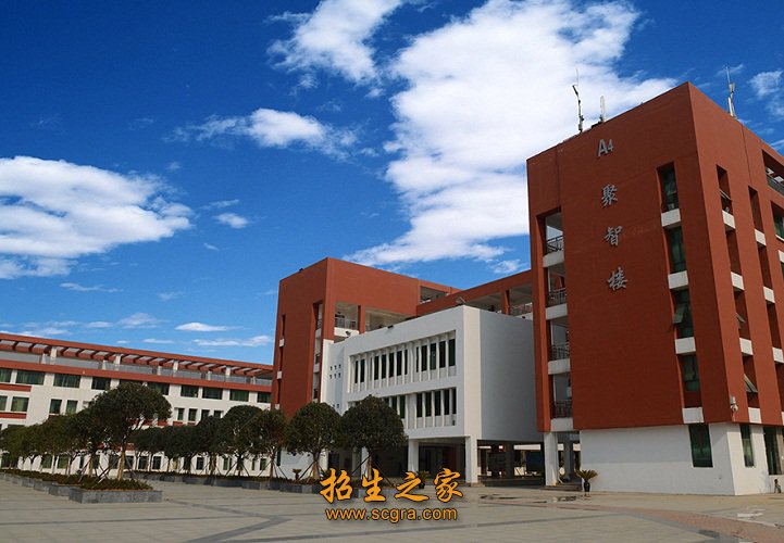 成人澳门永利平台手机版登录部等8个教