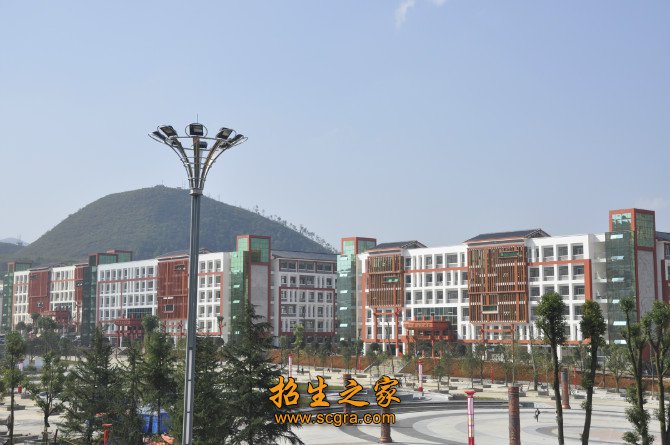 走过了辉煌发展的历程
