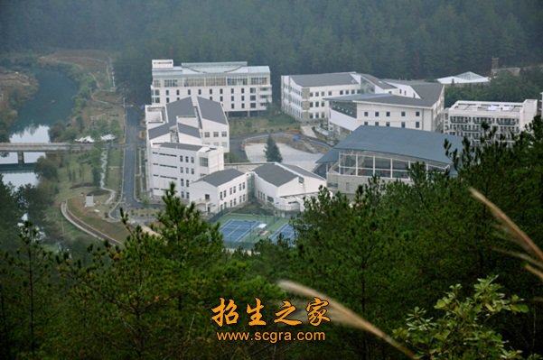 生根兴教
