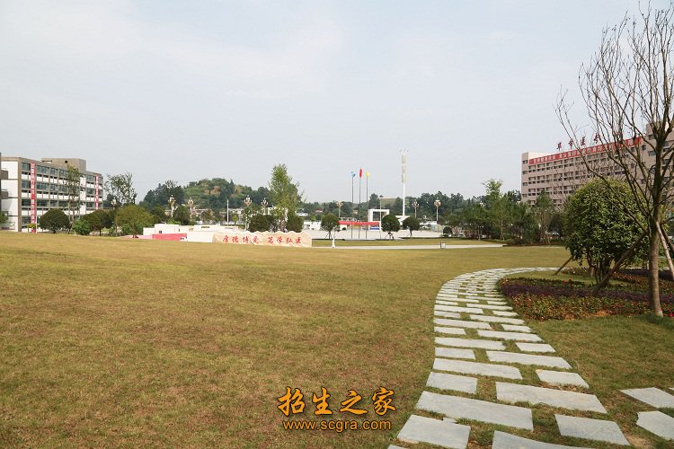 主编教材及教辅书15种