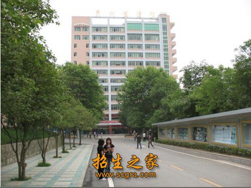 建材为龙头